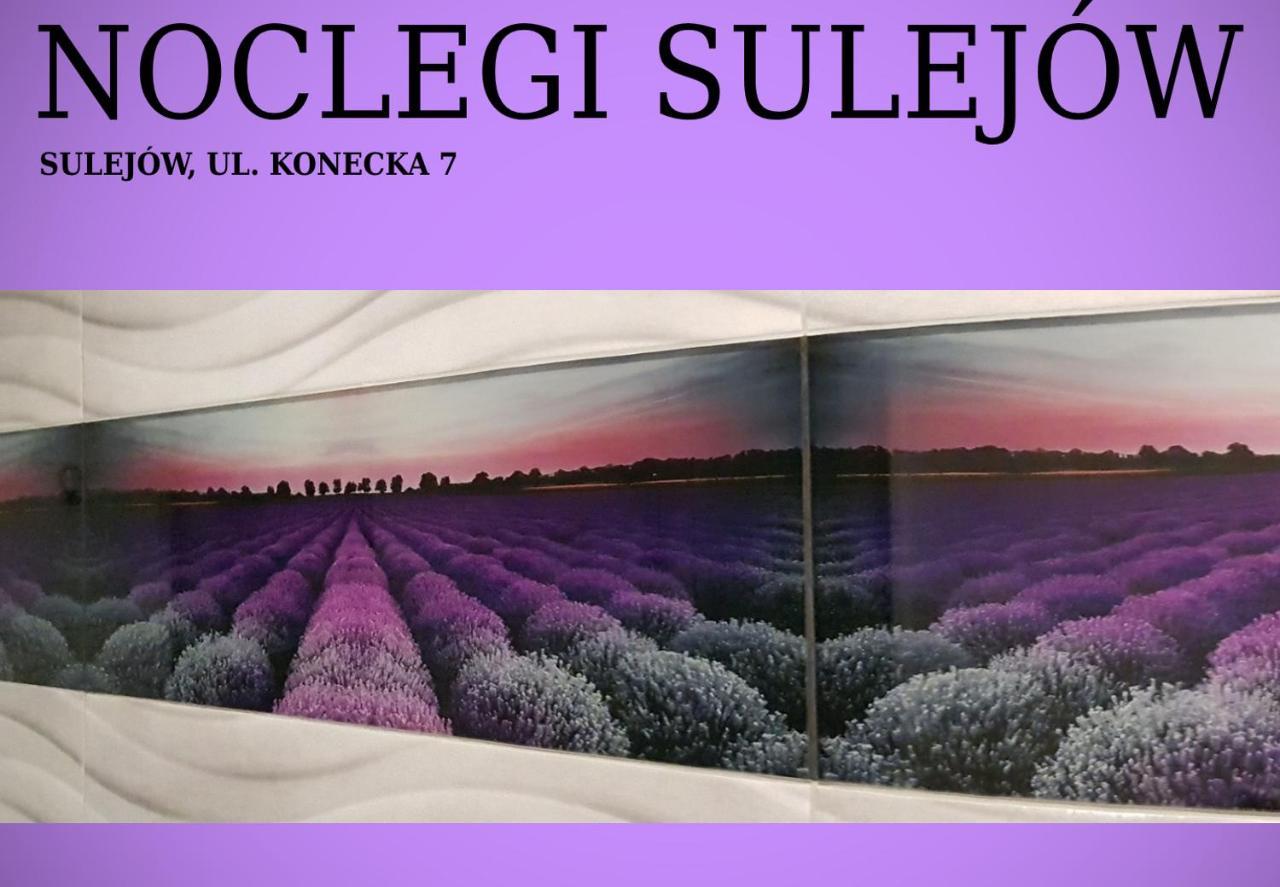 Noclegi ซูเลยุฟ ภายนอก รูปภาพ